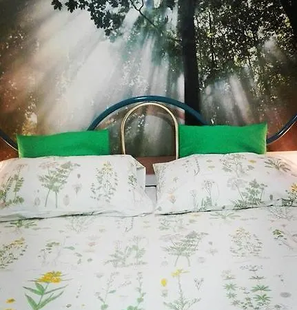 Bed & Breakfast Botanica Gallery *